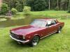 1964 Ford Mustang 289 - 2