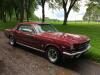 1964 Ford Mustang 289 - 10